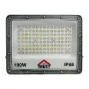 Trust LED Flood light A 100W